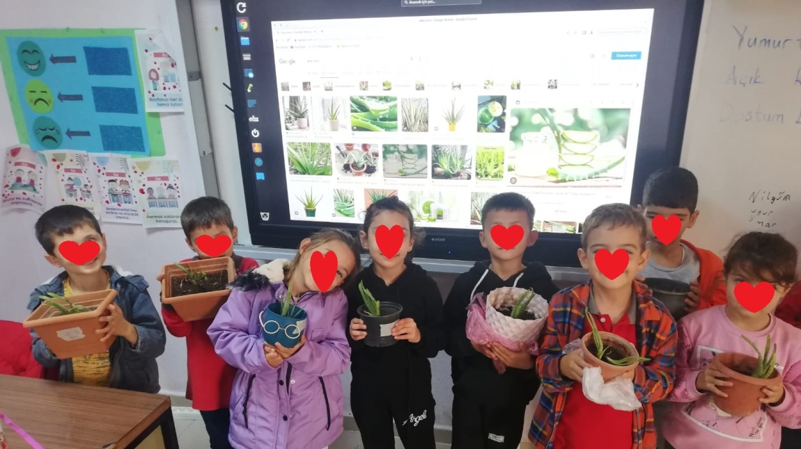 E-Twinning Projemiz Flower Care With Flower Kids Who Like Flowers